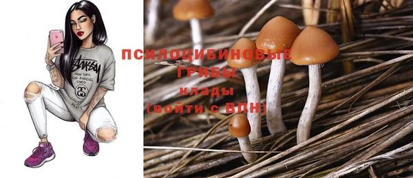 apvp Покровск
