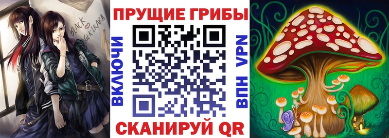 наркота  Курганинск  KRAKEN как зайти  Псилоцибиновые грибы MAGIC MUSHROOMS 