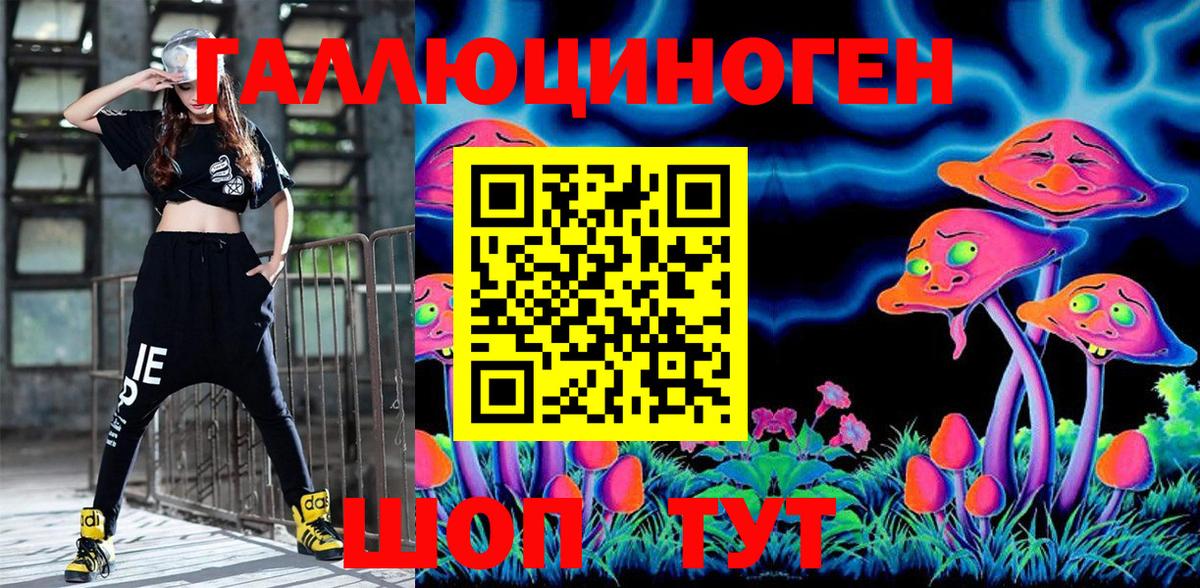 Псилоцибиновые грибы MAGIC MUSHROOMS  закладка  Курганинск  Вход с VPN 